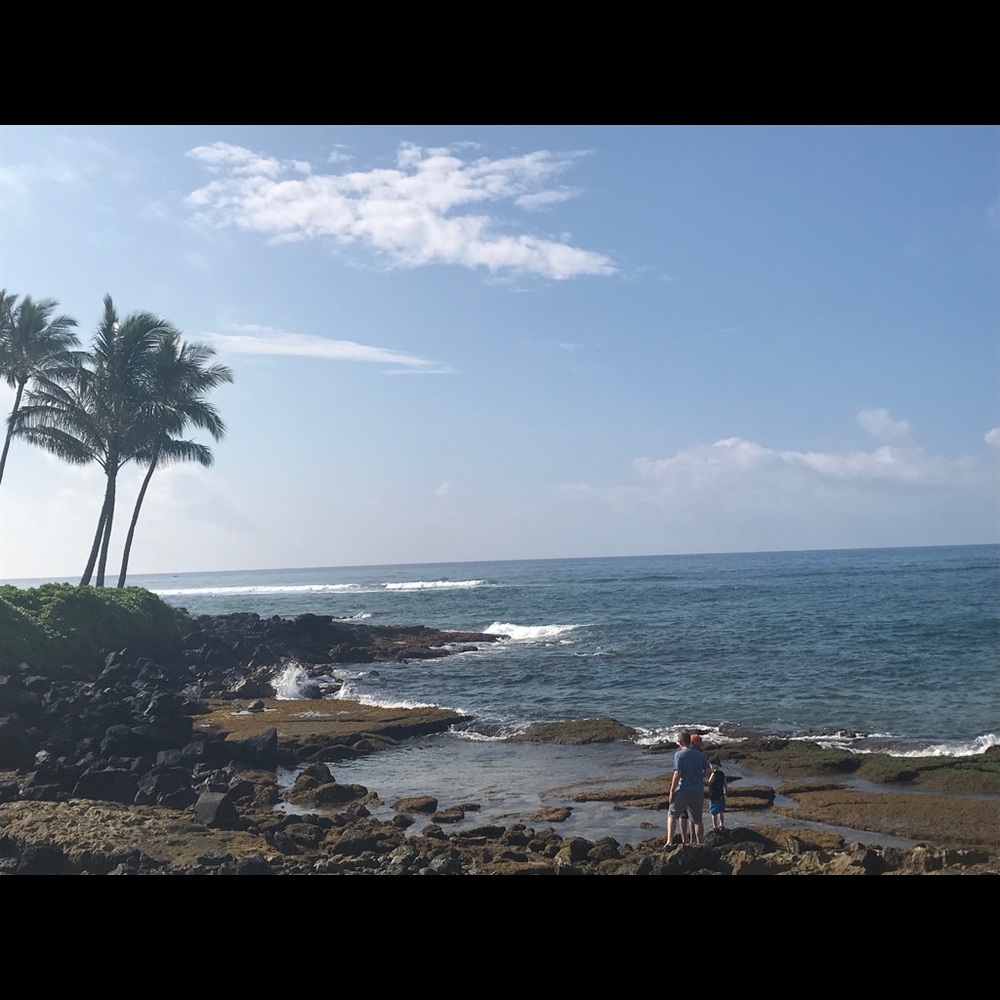 Meet your Posher, Sunday